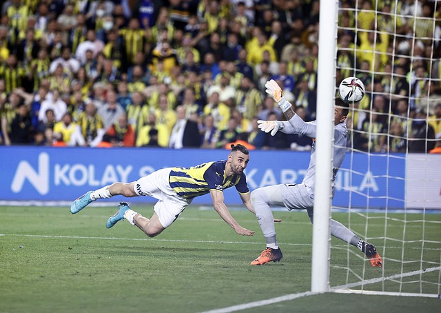 向他伸出橄 向他伸出橄