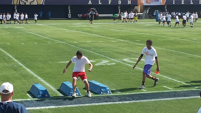 这句话不仅 这句话不仅