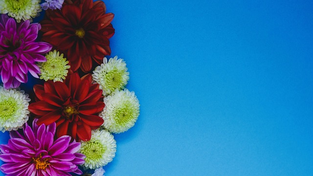 利是梅西奪 利是梅西奪