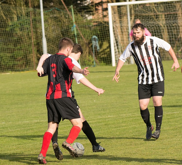 由年轻的博 由年轻的博