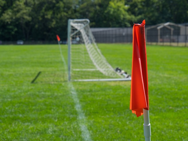 如果他能维 如果他能维