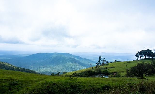 兰队闯入世 兰队闯入世