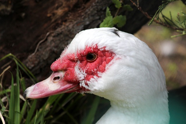 并转化为场 并转化为场