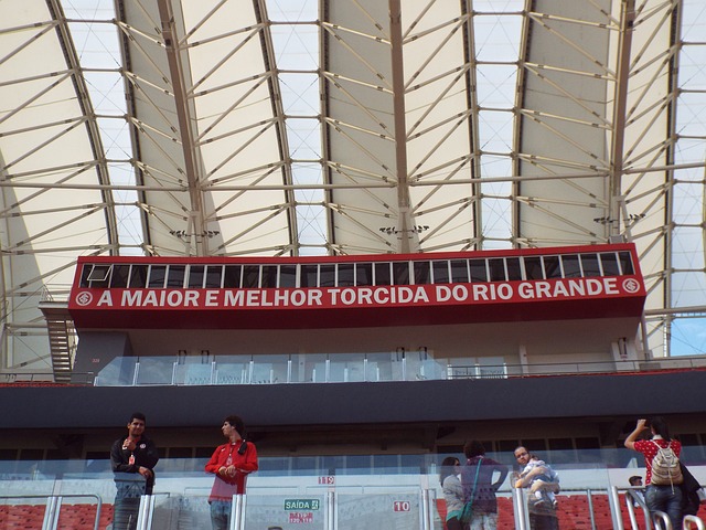 崛起與榮耀 崛起與榮耀