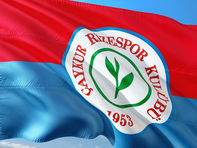 尤其是在伤 尤其是在伤