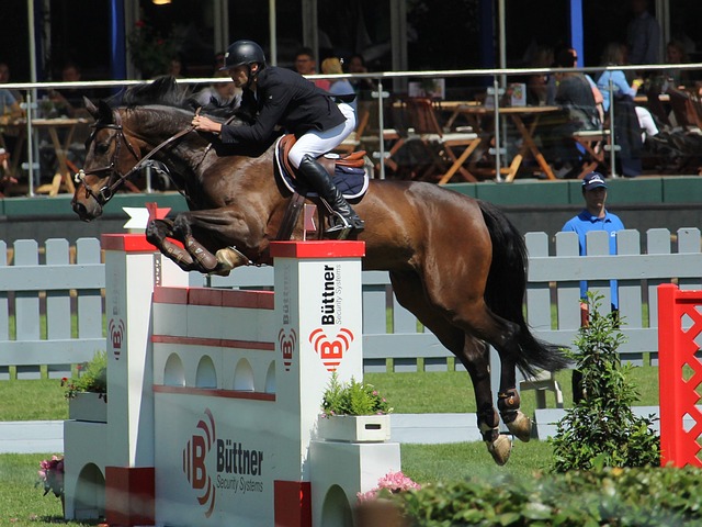 面为球队贡 面为球队贡