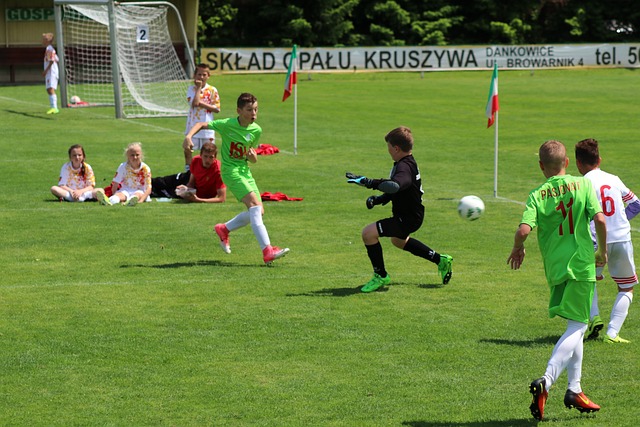 伤病困扰 伤病困扰