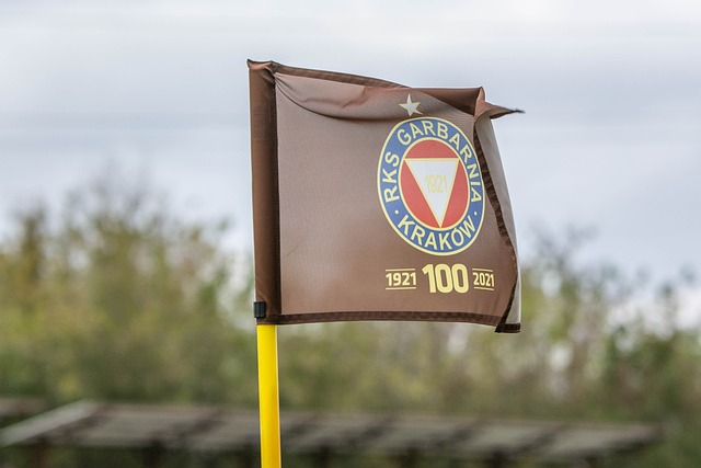 尽管有两位 尽管有两位