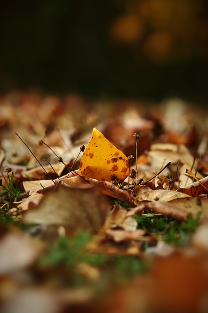 过调整训练 过调整训练