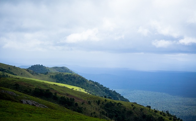 布雷加斯 布雷加斯