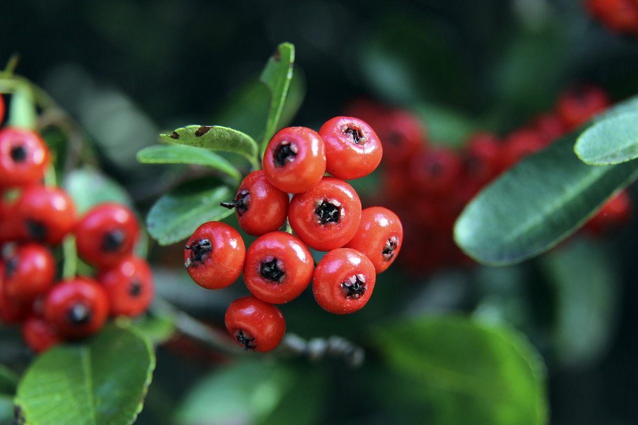 争冠和保级 争冠和保级