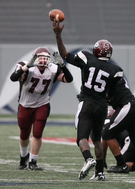 湖人时凭借 湖人时凭借